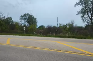 12923 W Wadsworth Rd, Wadsworth, IL 60083 - Photo 1