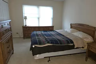 212 N Walnut Ln N, Schaumburg, IL 60194 - Photo 9