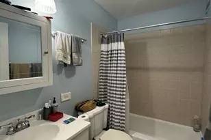 1560 N Sandburg Terrace, Chicago, IL 60610 - Photo 11
