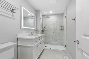 317 W Webster Ave, Chicago, IL 60614 - Photo 21