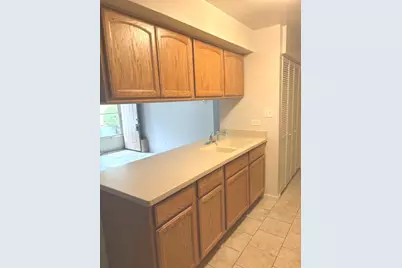 20114 Oak Lane #U70, Lynwood, IL 60411 - Photo 5