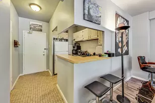 2909 N Sheridan Rd, Chicago, IL 60657 - Photo 15