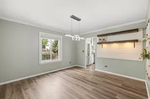 2463 Warm Springs Ln, Naperville, IL 60564 - Photo 21