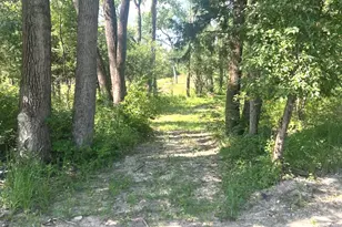 2 Wayman Canyon Rd, Oakwood, IL 61858 - Photo 47
