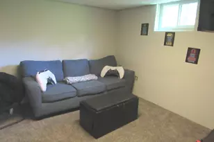 421 Hoover Dr, Carpentersville, IL 60110 - Photo 19