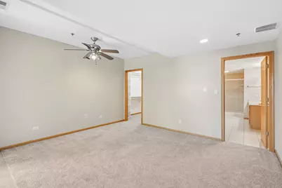 8650 Saddlebred Court #8650, Frankfort, IL 60423 - Photo 17