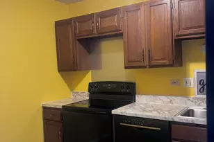 100 Park Ave, Calumet City, IL 60409 - Photo 5