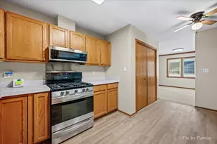 58 Silver Trail, North Aurora, IL 60542 - Photo 11