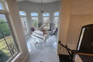 22542 Swanstone Ct, Frankfort, IL 60423 - Photo 7