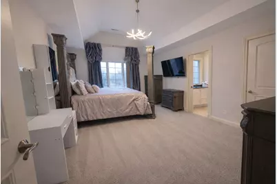 22542 Swanstone Court, Frankfort, IL 60423 - Photo 23