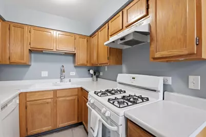 1123 Courtland Drive #UNIT, Buffalo Grove, IL 60089 - Photo 9