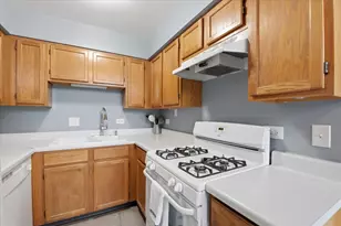 1123 Courtland Dr, Buffalo Grove, IL 60089 - Photo 9