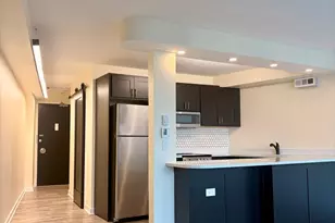 300 N State St, Chicago, IL 60654 - Photo 11