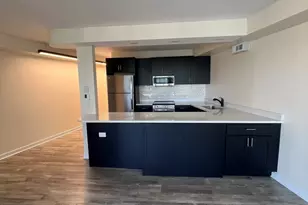 300 N State St, Chicago, IL 60654 - Photo 13