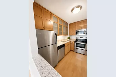 401 E Ontario Street #1603, Chicago, IL 60611 - Photo 9