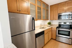 401 E Ontario St, Chicago, IL 60611 - Photo 9