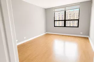 401 E Ontario St, Chicago, IL 60611 - Photo 7
