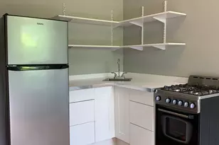 4519 N Sacramento Ave, Chicago, IL 60625 - Photo 21
