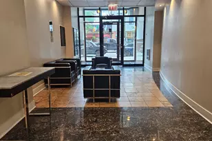 744 N Clark St, Chicago, IL 60654 - Photo 21