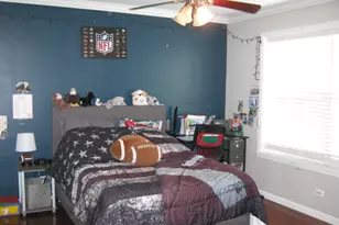 25439 Bower Ct, Plainfield, IL 60585 - Photo 15