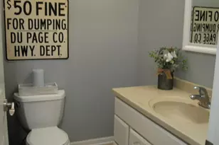 25439 Bower Ct, Plainfield, IL 60585 - Photo 21