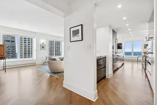 161 E Chicago Ave, Chicago, IL 60611 - Photo 15
