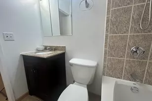8667 1/2 W Foster Ave, Chicago, IL 60656 - Photo 9