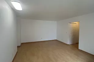 8667 1/2 W Foster Ave, Chicago, IL 60656 - Photo 5