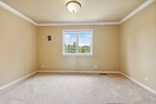 391 Lake Run Ln, North Aurora, IL 60542 - Photo 17