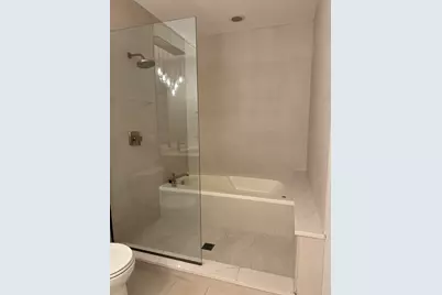 708 N Orleans Street #A, Chicago, IL 60654 - Photo 13