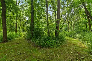 9026 W 121st St, Palos Park, IL 60464 - Photo 81