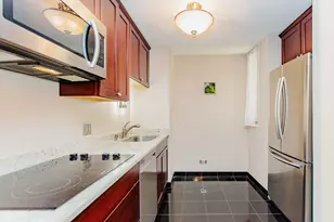 233 E Erie St, Chicago, IL 60611 - Photo 5
