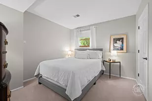 233 Terrance Dr, Naperville, IL 60565 - Photo 21