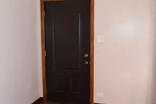 3206 S Wallace St, Chicago, IL 60616 - Photo 13