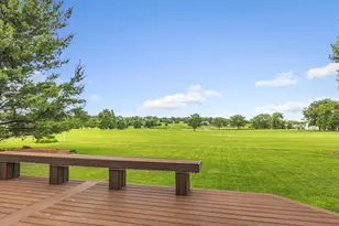 13033 Springhill Dr, Winnebago, IL 61088 - Photo 29