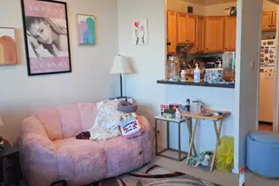 555 W Cornelia Ave, Chicago, IL 60657 - Photo 7