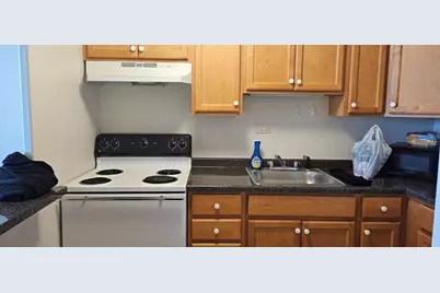 555 W Cornelia Avenue #2009, Chicago, IL 60657 - Photo 5