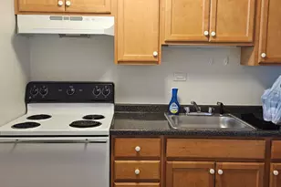555 W Cornelia Ave, Chicago, IL 60657 - Photo 5