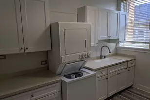 103 E 1st St, Elmhurst, IL 60126 - Photo 9