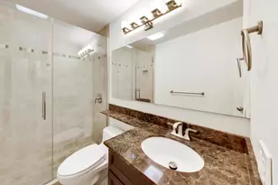 1555 N Sandburg Terrace, Chicago, IL 60610 - Photo 21