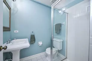 219 N Huffman St, Naperville, IL 60540 - Photo 23