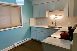 6359 N Ridge Ave, Chicago, IL 60660 - Photo 3