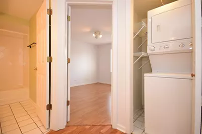 5351 N East River Road #203, Chicago, IL 60656 - Photo 3