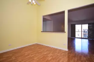 5351 N East River Rd, Chicago, IL 60656 - Photo 9