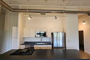 809 N Racine Ave, Chicago, IL 60642 - Photo 9