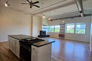 809 N Racine Ave, Chicago, IL 60642 - Photo 3