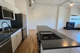 809 N Racine Ave, Chicago, IL 60642 - Photo 11