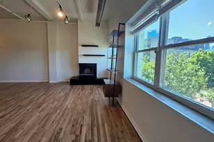 809 N Racine Ave, Chicago, IL 60642 - Photo 13