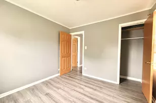 10649 S Sangamon St, Chicago, IL 60643 - Photo 15