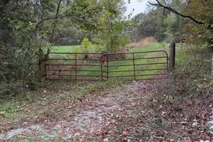 153 Rock Creek Rd, Cave In Rock, IL 62919 - Photo 13